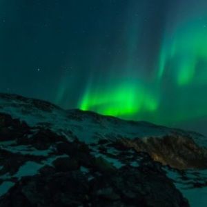 Meet your Posher, Dylan